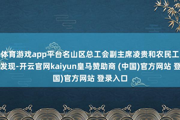 体育游戏app平台名山区总工会副主席凌贵和农民工聊天才发现-开云官网kaiyun皇马赞助商 (中国)官方网站 登录入口