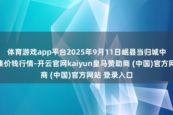 体育游戏app平台2025年9月11日岷县当归城中药材交游市集价钱行情-开云官网kaiyun皇马赞助商 (中国)官方网站 登录入口
